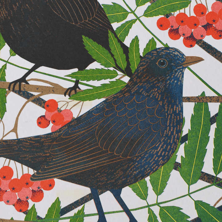 Blackbirds A4 Risograph Art Print