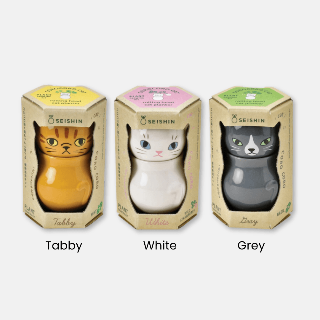 Corocoro Cat Herb Planter