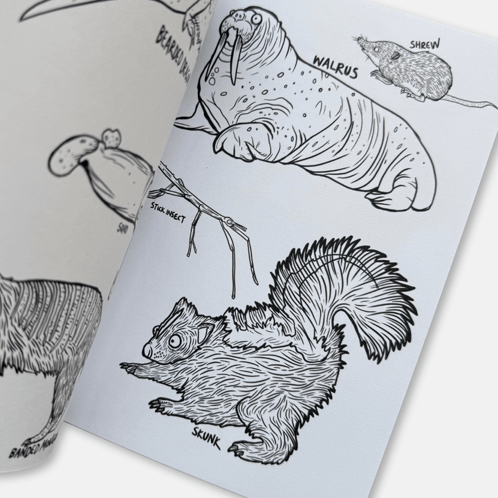 Animals! Colouring Book