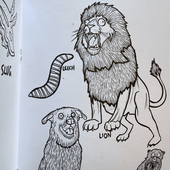 Animals! Colouring Book