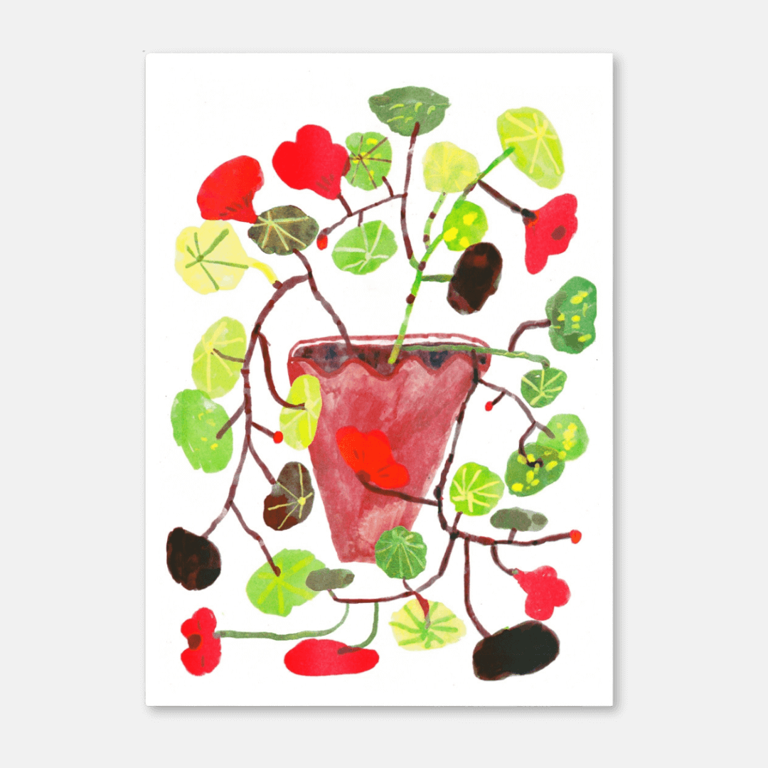 Nasturtium A3 Riso Art Print