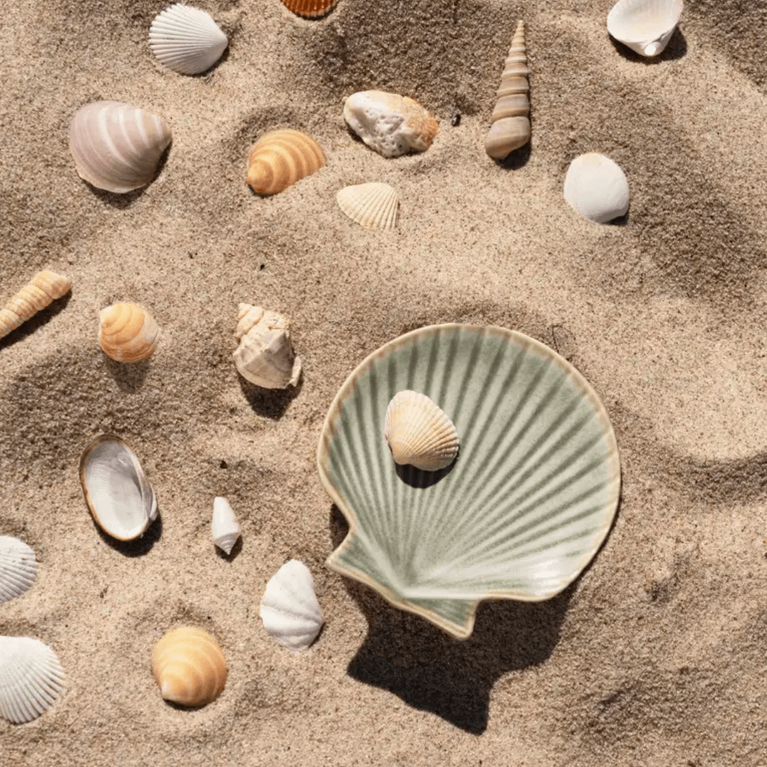 Stoneware Shell Dishes