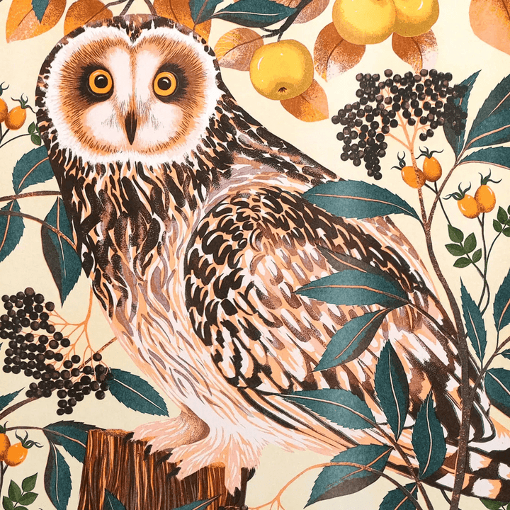 Autumn Owl A3 Risograph Print